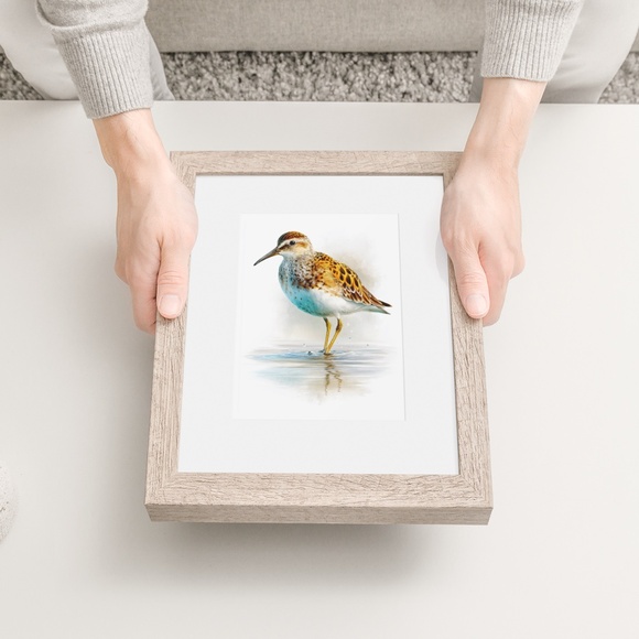 Watercolor Sandpiper Bird Portrait Wall Art Print, Unframed - Coastal Serenity - Picture 6 of 7